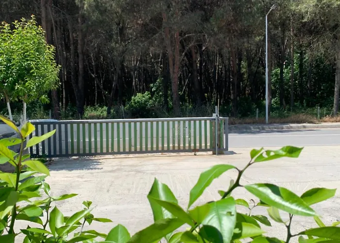 Garden Albania Hostal *