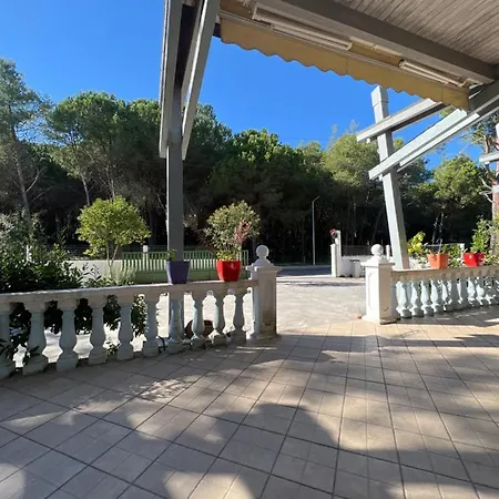 旅馆 Garden Albania 格勒姆
