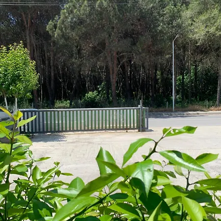 Garden Albania Auberge de jeunesse *