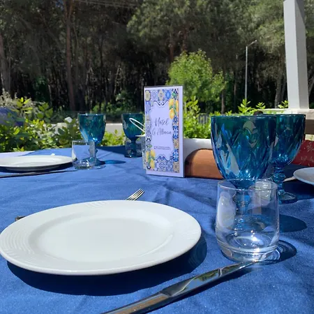 Auberge de jeunesse Garden Albania